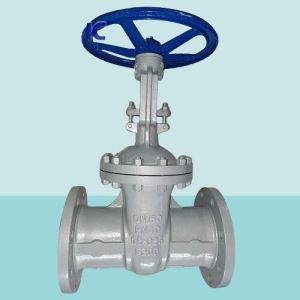 Russian Standard Carbon Steel 20# Pn16 Pn25 Pn40 Pn63 Gate Valve Standard