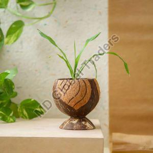 Coconut Shell Flower Pot