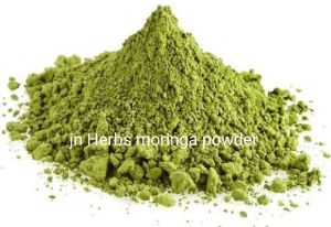 DRUMSTICK LEAVES POWDER