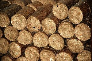 Biomass Briquettes