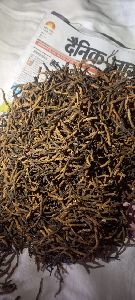 Cordyceps sinsinse