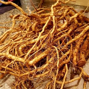 Dried Ashwagandha Root