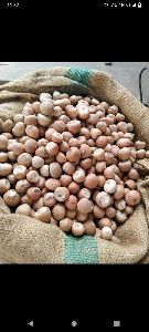 Fresh Areca Nut/ Chali