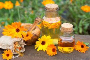 Calendula Oil