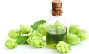 Hops Oil