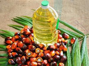 Palm Oil