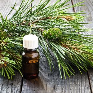 Pine Oil