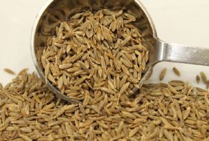 Cumin Seeds