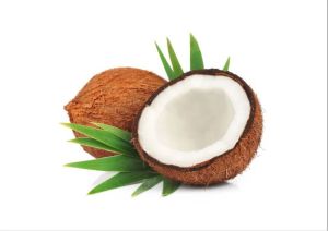 Fresh Coconut