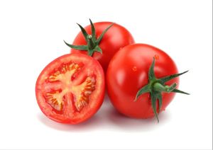 Fresh Tomato