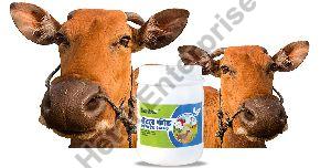 Cattle Feed Concentrate Supplement
