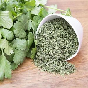 Dried Coriander Leaves