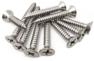 Stainless Steel Screws