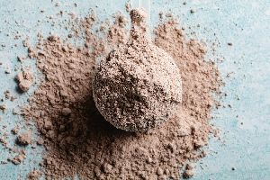 diabetic protein powder