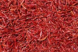 Dry Red Chili