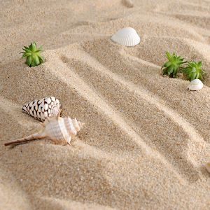 decorative sand art