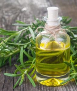 Tarragon Essential Oil