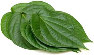 Betel Leaf