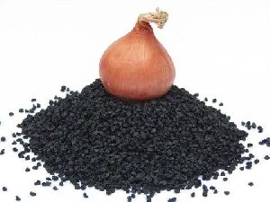 Onion Seeds