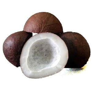 Coconut Copra