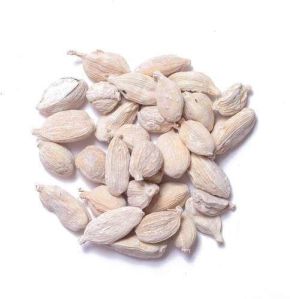 White Cardamom