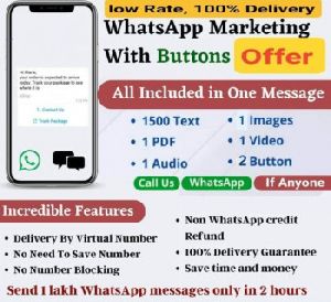 WhatsApp Marketing Service