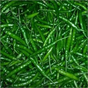 A Grade G4 Fresh Green Chilly, Maharashtra, Packaging Size: 5 Kg