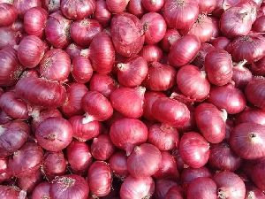 Red Onion