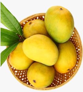 Yellow A Grade Mango