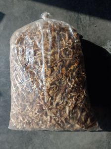 dried oyester mushroom