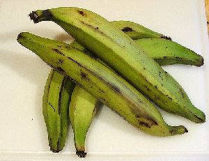 fresh plantain