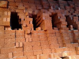 Wire Cut Bricks