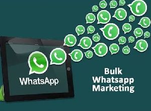 Bulk Whatsapp SMS Service