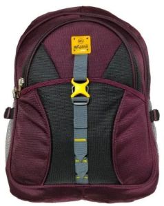 AN 409 BN Laptop Bag