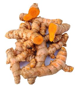 Raw Turmeric