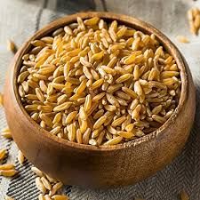 Sharbati Wheat Grains