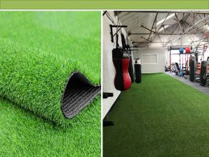 Artificial Grass