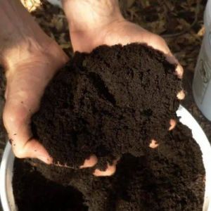 organic city compost