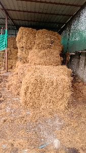 Coir Fiber