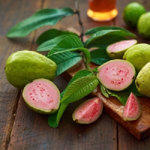 Fresh Guava