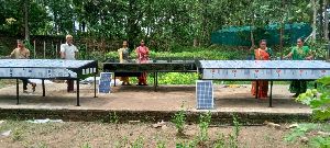 Solar Fish dryer