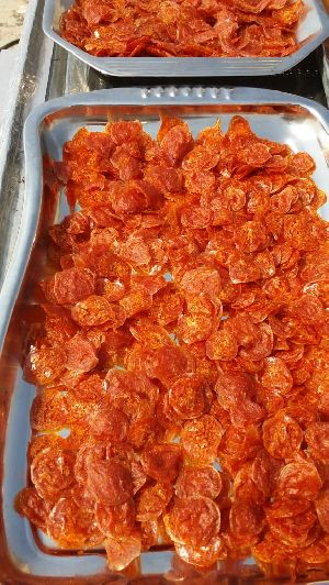 Solar Aam Papad Dryer