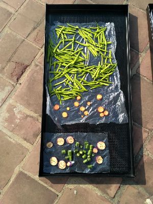 Solar Coffee Dryer