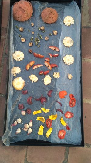 solar vegetable dryer