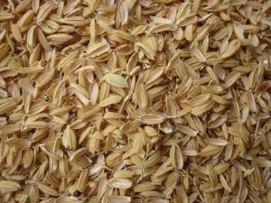 Rice Husk Powder