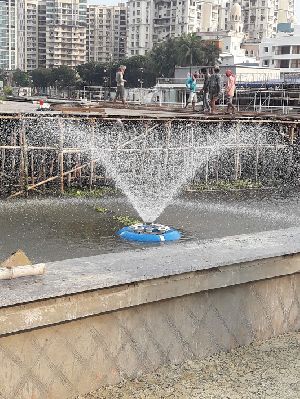 Tulip Water Fountain