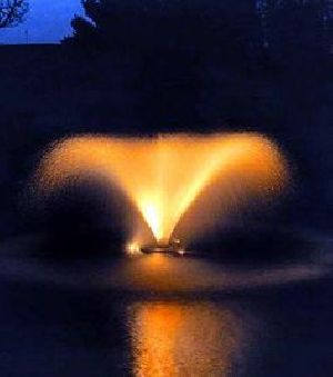 Tulip Water Fountain