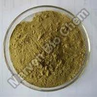 Andrographis Paniculata Powder & Extracts