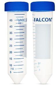Falcon Tube (50 ml)