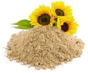 Lecithin Sunflower Powder